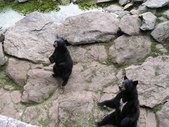 Enlarge photo 25