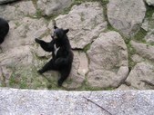 Enlarge photo 26