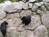 Enlarge photo 27