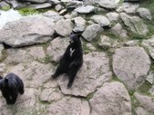 Enlarge photo 28