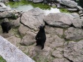 Enlarge photo 29