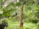 Enlarge photo 31