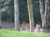 Enlarge photo 33