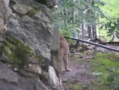 Enlarge photo 34