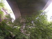 Enlarge photo 35