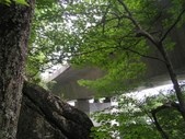 Enlarge photo 37