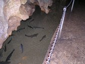 Enlarge photo 47