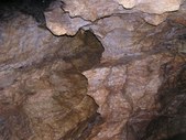 Enlarge photo 48