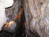 Enlarge photo 54