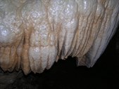 Enlarge photo 58