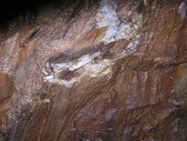 Enlarge photo 60