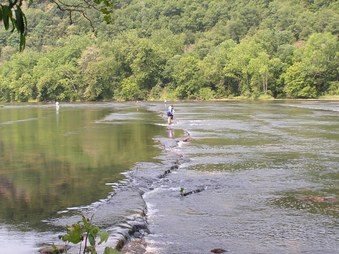 Foster Falls