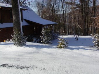 Enlarge photo 4