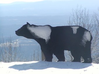 Mountain Pics