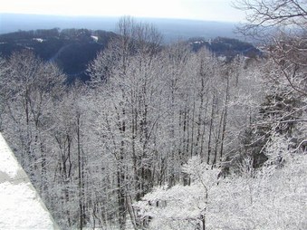 Snow 2009