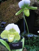Enlarge photo 27