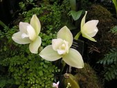 Enlarge photo 28