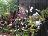 Enlarge photo 35