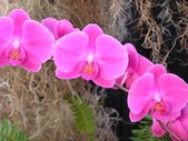 Enlarge photo 49