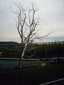 Enlarge photo 31