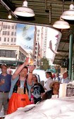 Enlarge photo 46