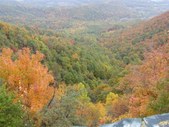 Enlarge photo 16
