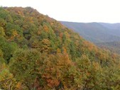 Enlarge photo 19