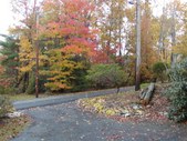 Enlarge photo 30