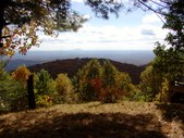 Enlarge photo 37