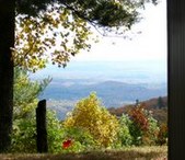 Enlarge photo 38