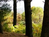 Enlarge photo 39