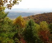 Enlarge photo 40