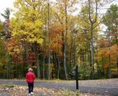 Enlarge photo 47