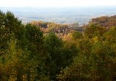 Enlarge photo 36