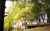 Enlarge photo 41