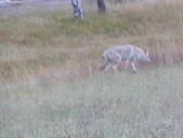 Enlarge photo 156
