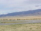 Enlarge photo 182