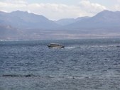 Enlarge photo 145