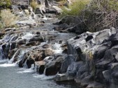Enlarge photo 177