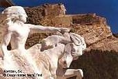 Enlarge photo 63
