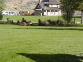 Enlarge photo 129