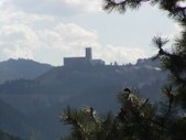 Enlarge photo 95