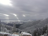 Enlarge photo 173