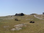 Enlarge photo 37