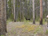 Enlarge photo 140