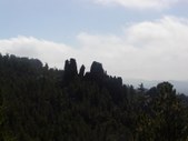 Enlarge photo 62