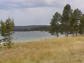 Enlarge photo 146