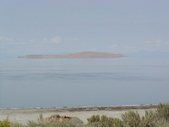 Enlarge photo 187
