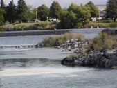 Enlarge photo 176