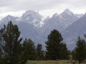 Enlarge photo 169